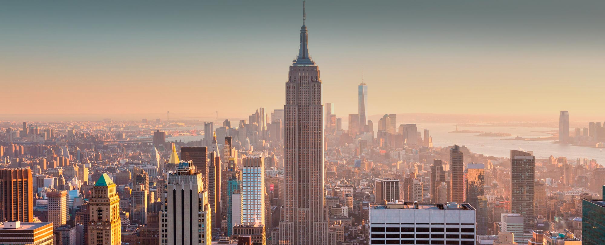 Custom software development