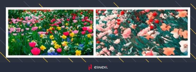 What does it look like before and after?