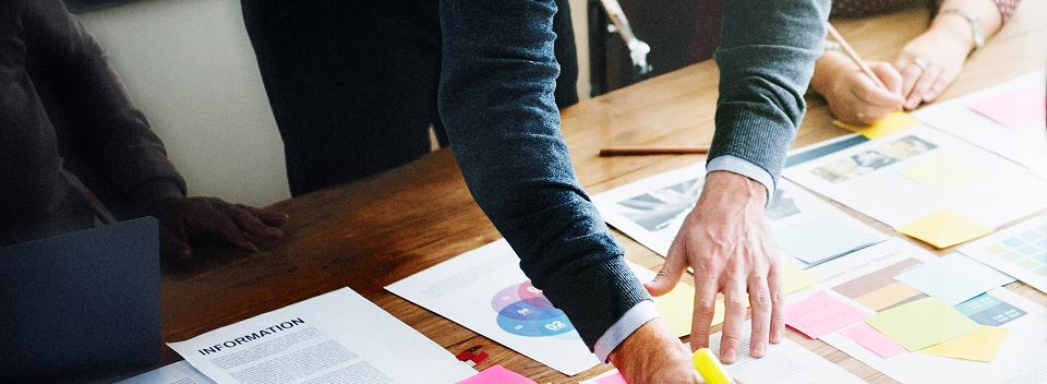 IT Project Management Services
