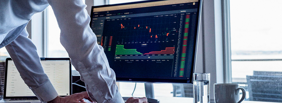 Investment Software Development Services