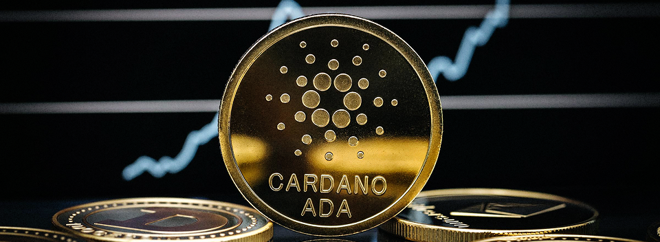 Cardano Development Company