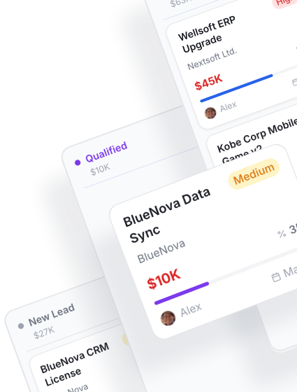 Operational Inefficiency of Custom EliCRM