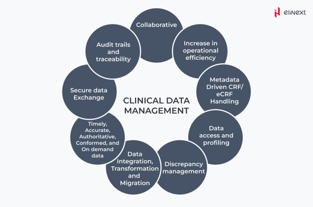 What are Clinical Data Management Services