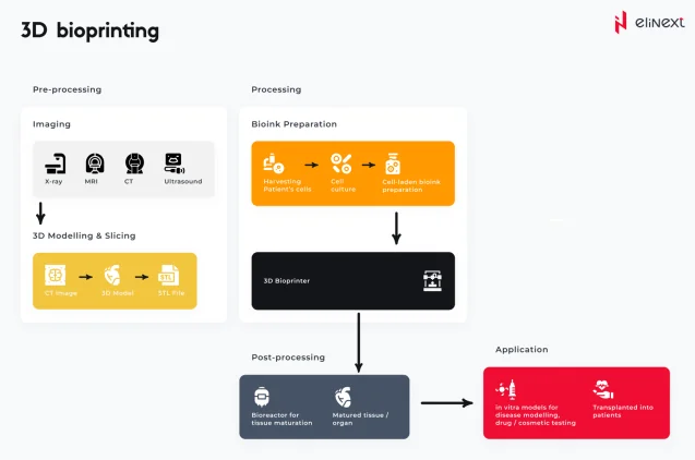 3D bioprinting