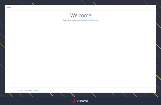 After creating the project, you can run it and a new tab with such a window will open in your browser