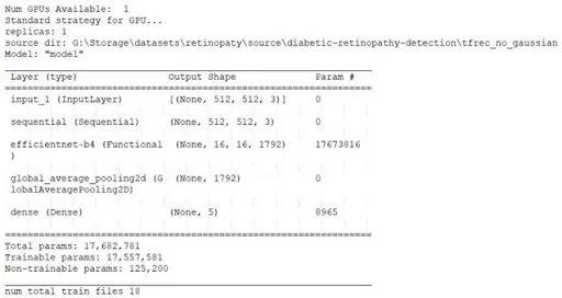 Model data before starting training Model data before starting training