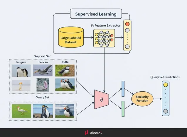 Few shot learning example