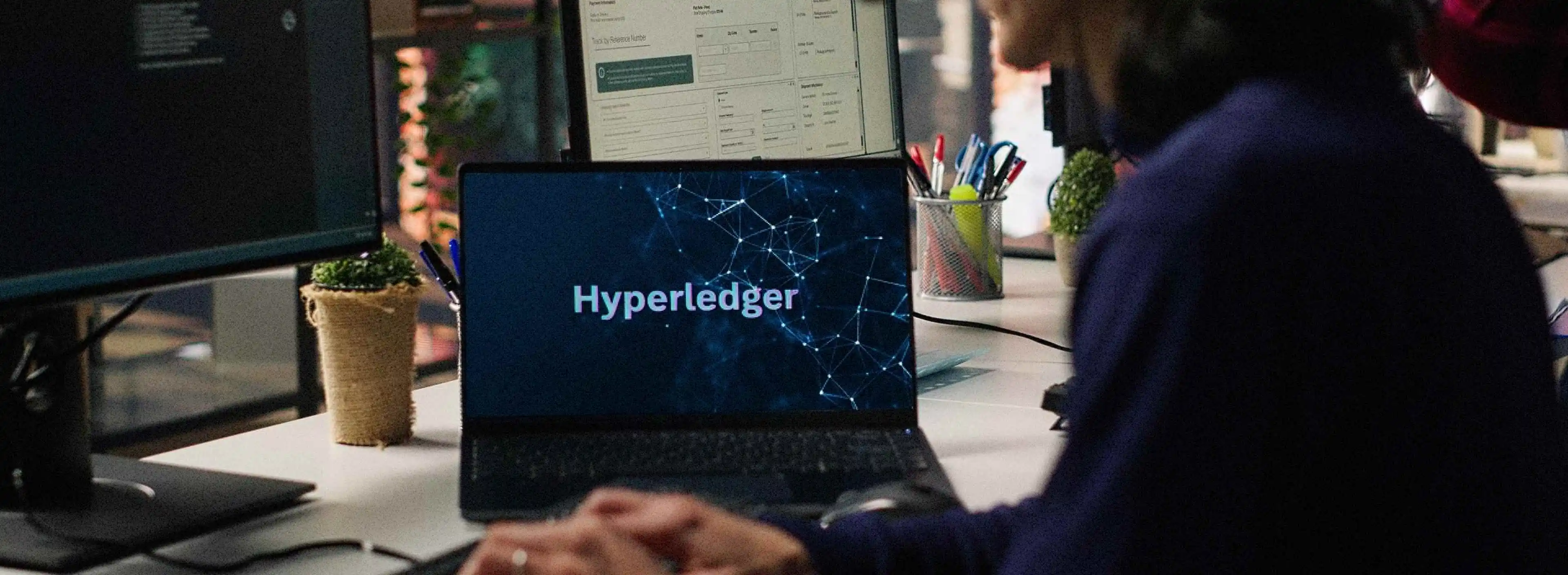 Hyperledger Development Services