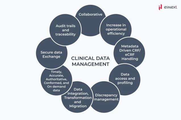 What are Clinical Data Management Services