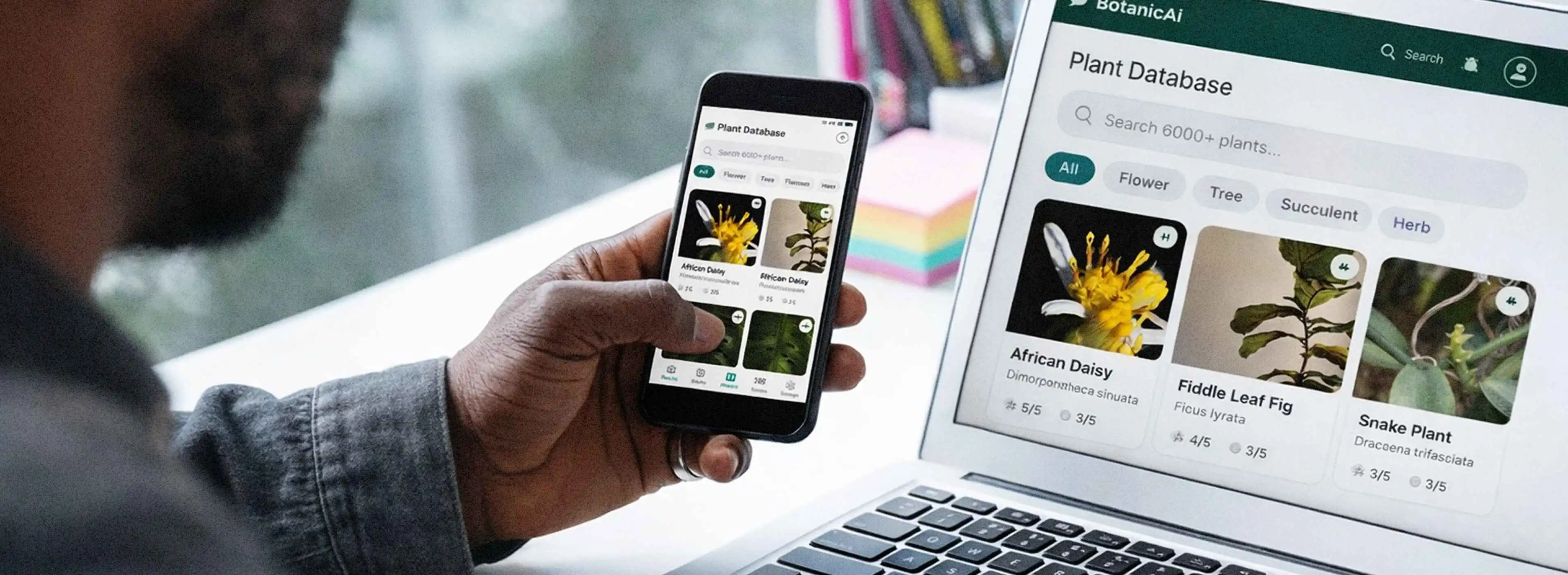 Responsive Web Design Services